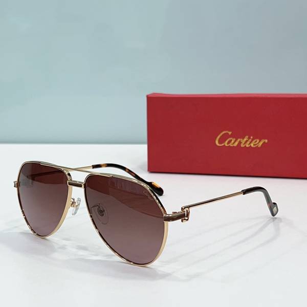 Cartier Sunglasses Top Quality CAS01212