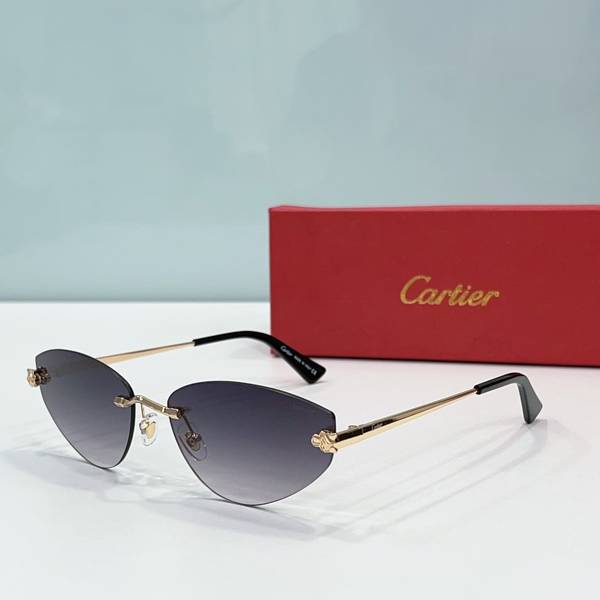 Cartier Sunglasses Top Quality CAS01213