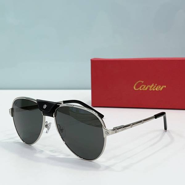 Cartier Sunglasses Top Quality CAS01331