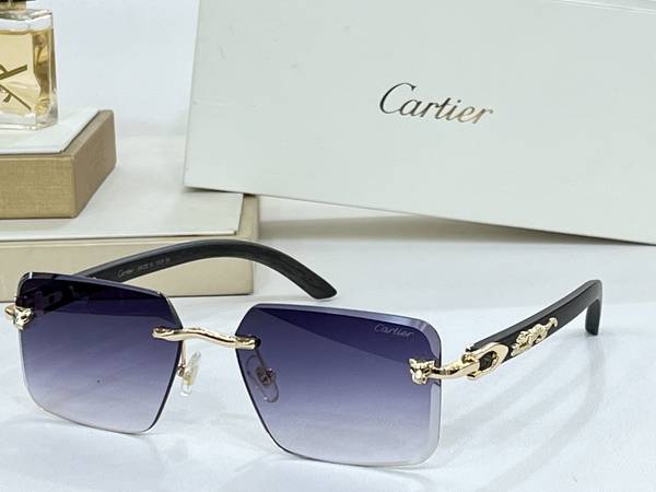 Cartier Sunglasses Top Quality CAS01409