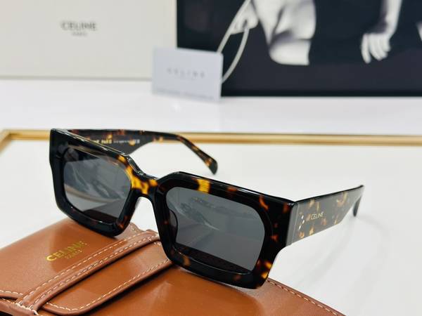 Celine Sunglasses Top Quality CES01119