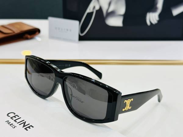 Celine Sunglasses Top Quality CES01131