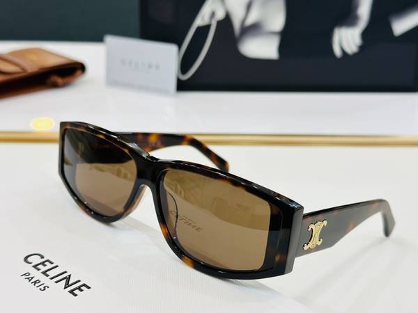 Celine Sunglasses Top Quality CES01132