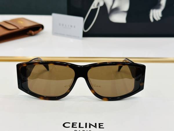 Celine Sunglasses Top Quality CES01138