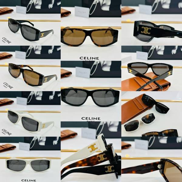 Celine Sunglasses Top Quality CES01141