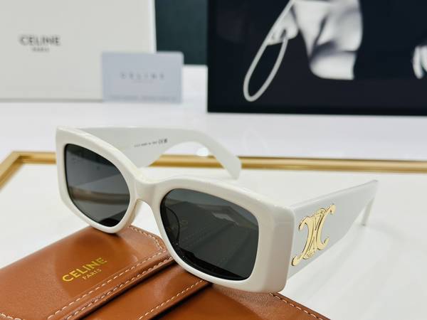 Celine Sunglasses Top Quality CES01145