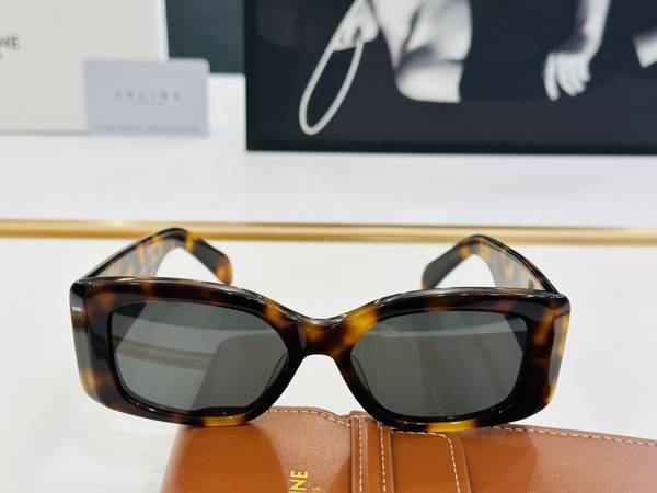 Celine Sunglasses Top Quality CES01147