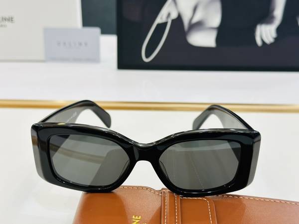 Celine Sunglasses Top Quality CES01148
