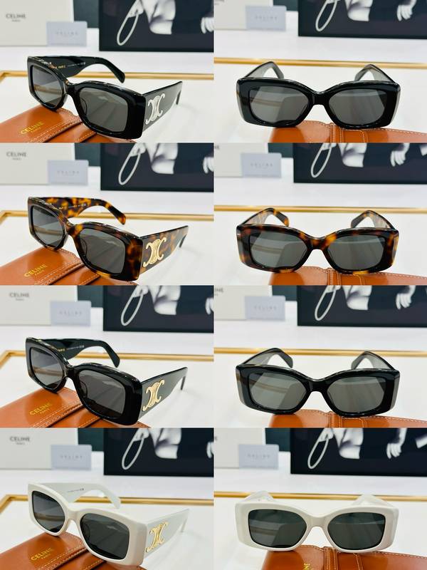 Celine Sunglasses Top Quality CES01149