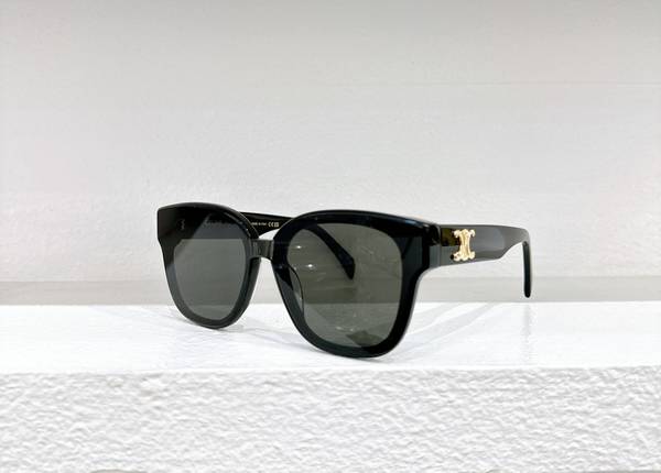 Celine Sunglasses Top Quality CES01188