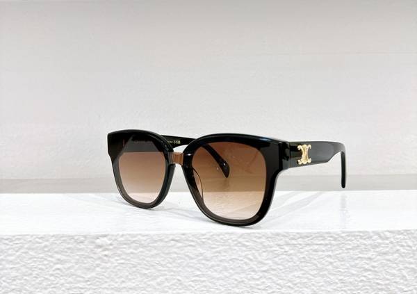 Celine Sunglasses Top Quality CES01191