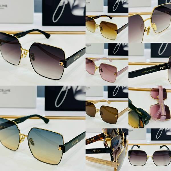 Celine Sunglasses Top Quality CES01198