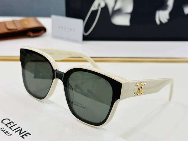 Celine Sunglasses Top Quality CES01204