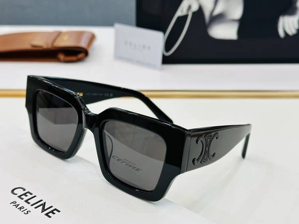 Celine Sunglasses Top Quality CES01207