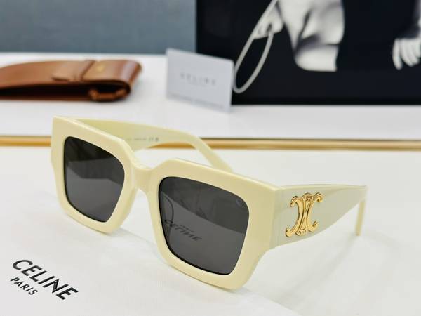Celine Sunglasses Top Quality CES01210