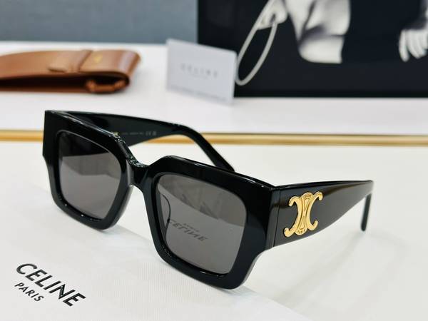 Celine Sunglasses Top Quality CES01211