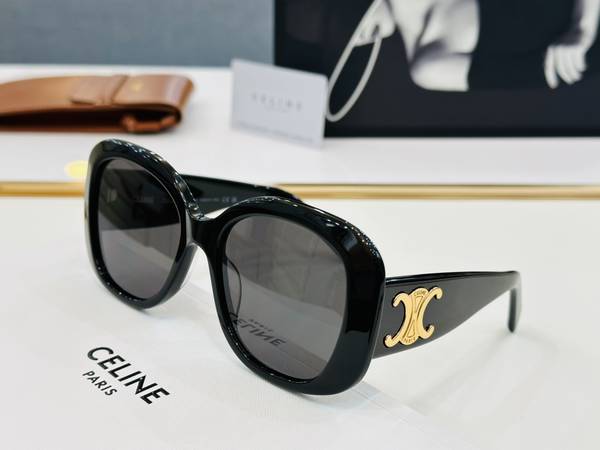 Celine Sunglasses Top Quality CES01214