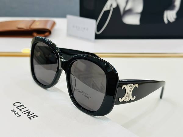 Celine Sunglasses Top Quality CES01217