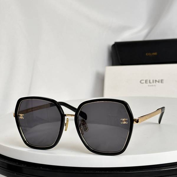 Celine Sunglasses Top Quality CES01244