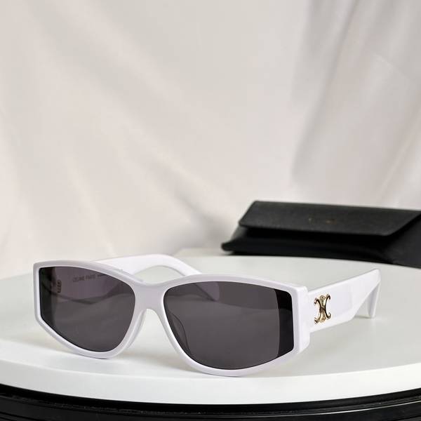 Celine Sunglasses Top Quality CES01289