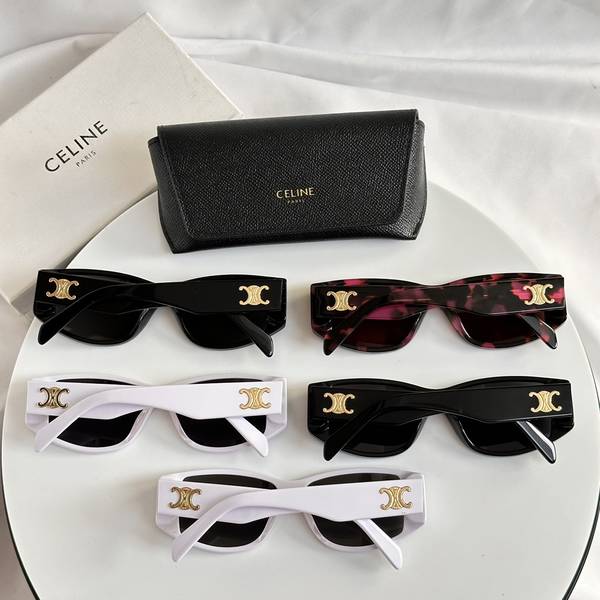 Celine Sunglasses Top Quality CES01291