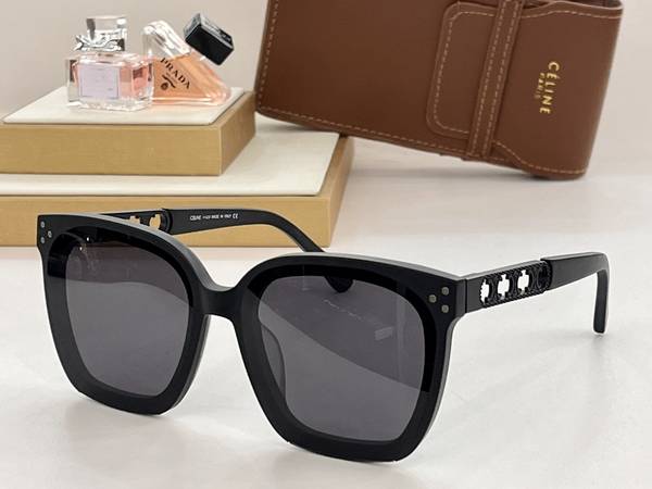 Celine Sunglasses Top Quality CES01314