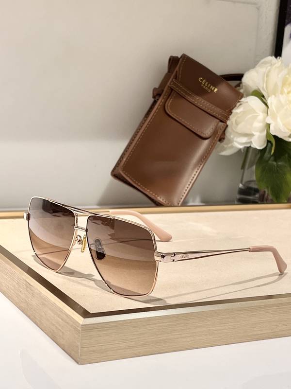 Celine Sunglasses Top Quality CES01352