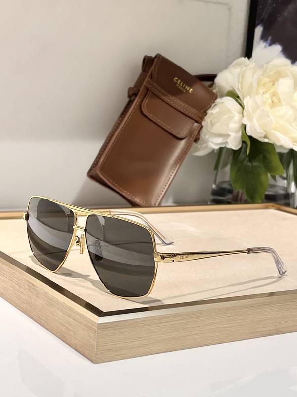 Celine Sunglasses Top Quality CES01356