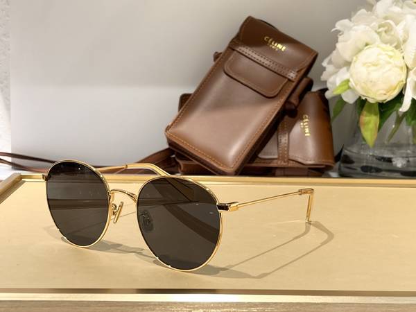Celine Sunglasses Top Quality CES01363
