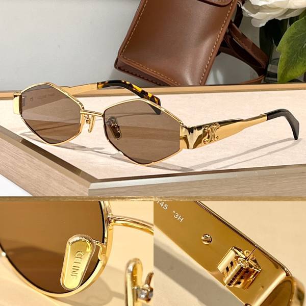 Celine Sunglasses Top Quality CES01370
