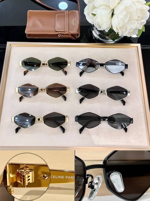 Celine Sunglasses Top Quality CES01371