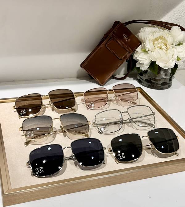 Celine Sunglasses Top Quality CES01390
