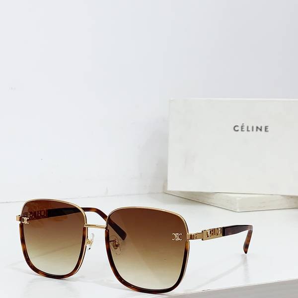 Celine Sunglasses Top Quality CES01402