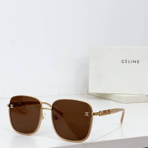 Celine Sunglasses Top Quality CES01403