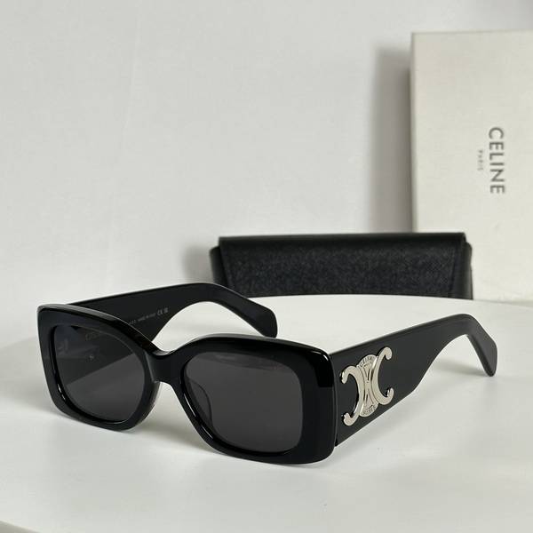 Celine Sunglasses Top Quality CES01407