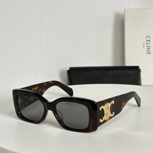 Celine Sunglasses Top Quality CES01408