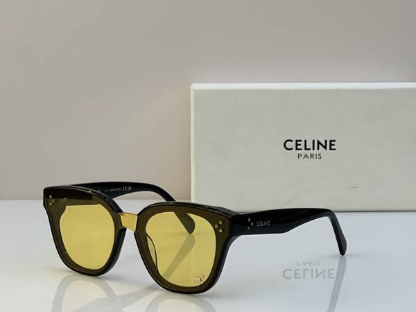 Celine Sunglasses Top Quality CES01428