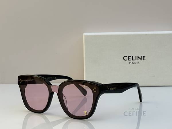Celine Sunglasses Top Quality CES01429