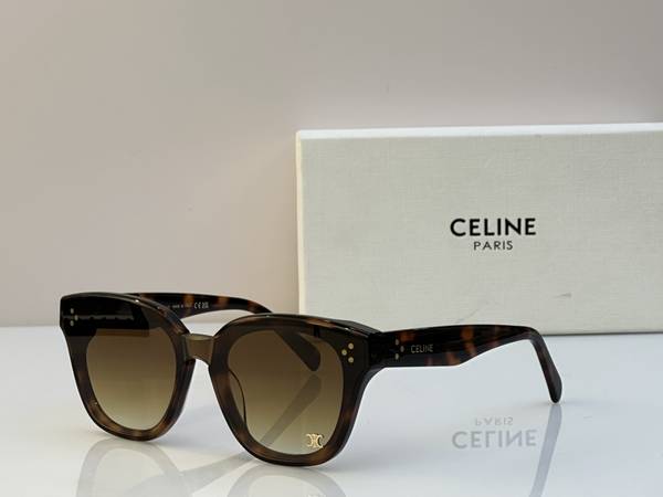 Celine Sunglasses Top Quality CES01430