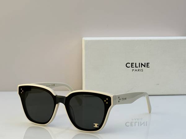 Celine Sunglasses Top Quality CES01433