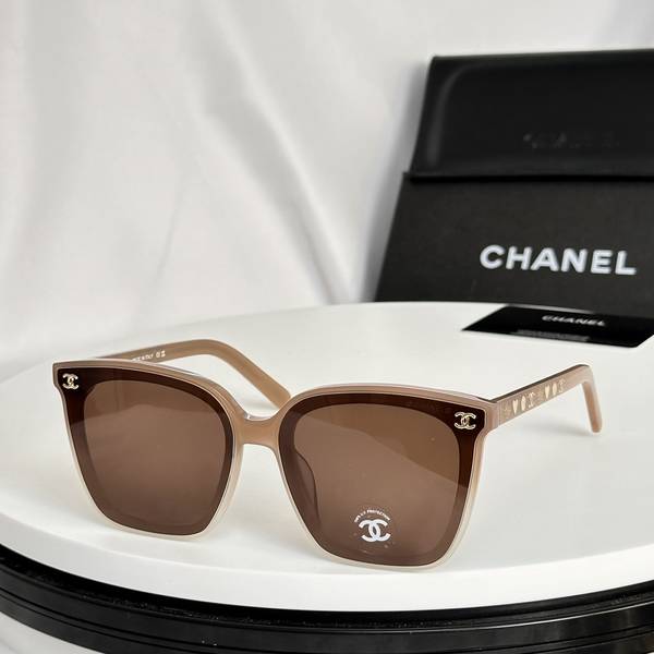 Chanel Sunglasses Top Quality CHS05559