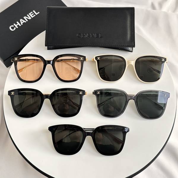 Chanel Sunglasses Top Quality CHS05656