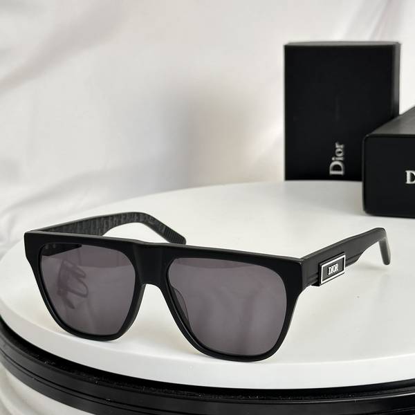 Dior Sunglasses Top Quality DIS03033