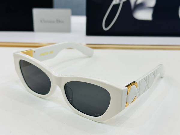 Dior Sunglasses Top Quality DIS03046