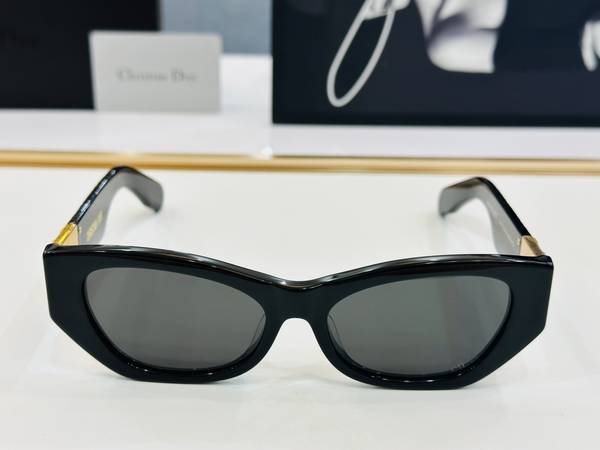 Dior Sunglasses Top Quality DIS03048