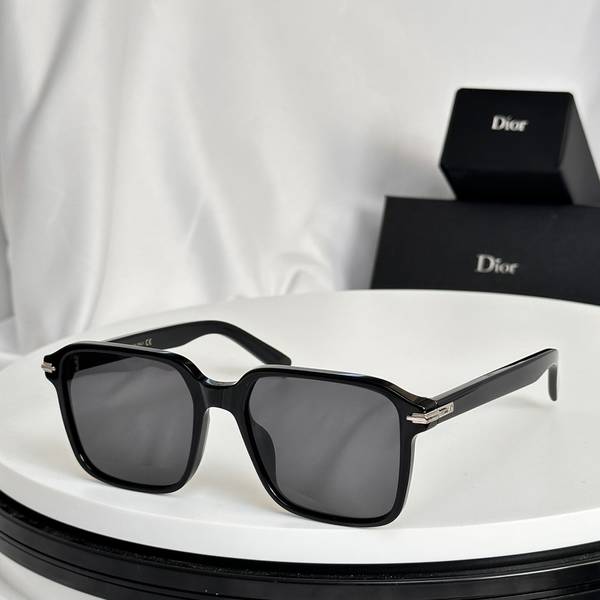 Dior Sunglasses Top Quality DIS03103