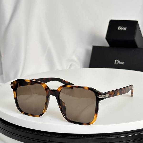Dior Sunglasses Top Quality DIS03105