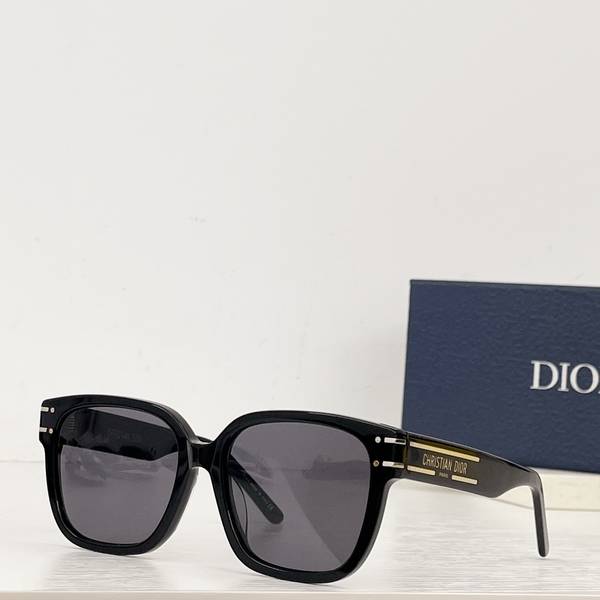 Dior Sunglasses Top Quality DIS03199