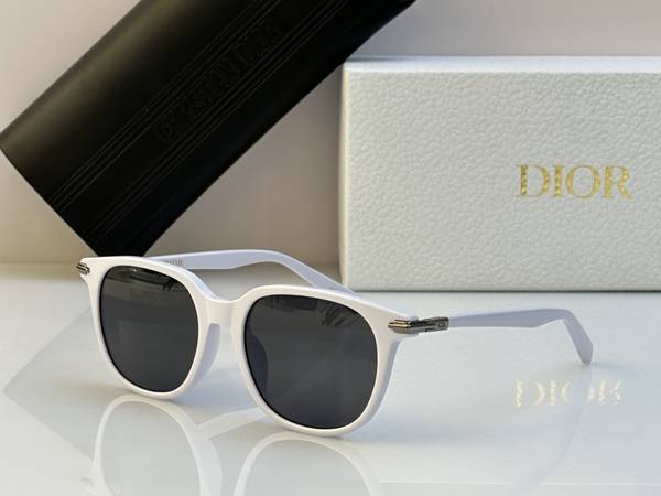 Dior Sunglasses Top Quality DIS03231