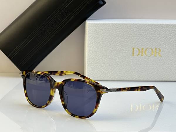 Dior Sunglasses Top Quality DIS03234